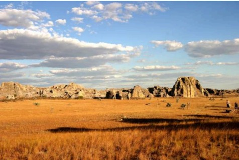 WhatsApp Image 2026-02-24 at 18.33.01