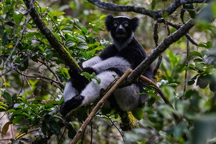 WhatsApp Image 2026-02-24 at 18.33.19